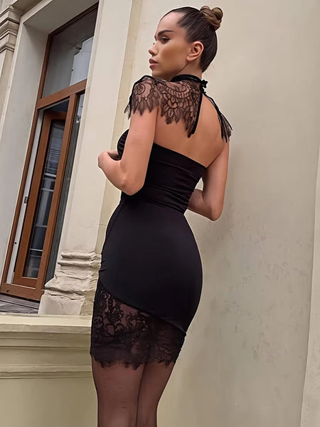 Lace Backless Sexy Mini  Elegant See Through Turtleneck Sleeveless Bodycon Club Party Dresses Female